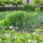 Le potager